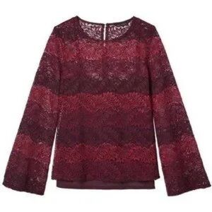 Banana Republic Sheer / Lace Ling Sleeve Top